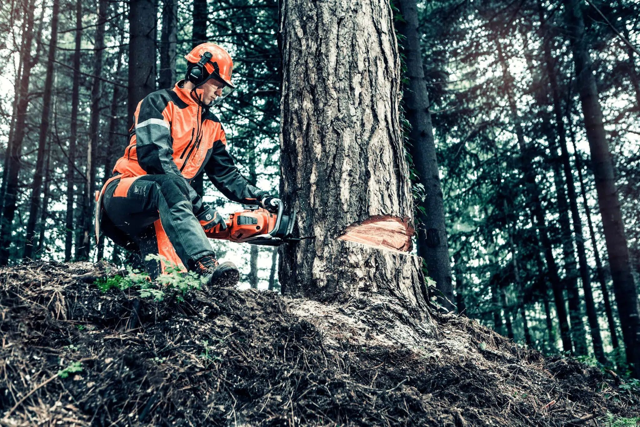 Temporada de motosierras 2023