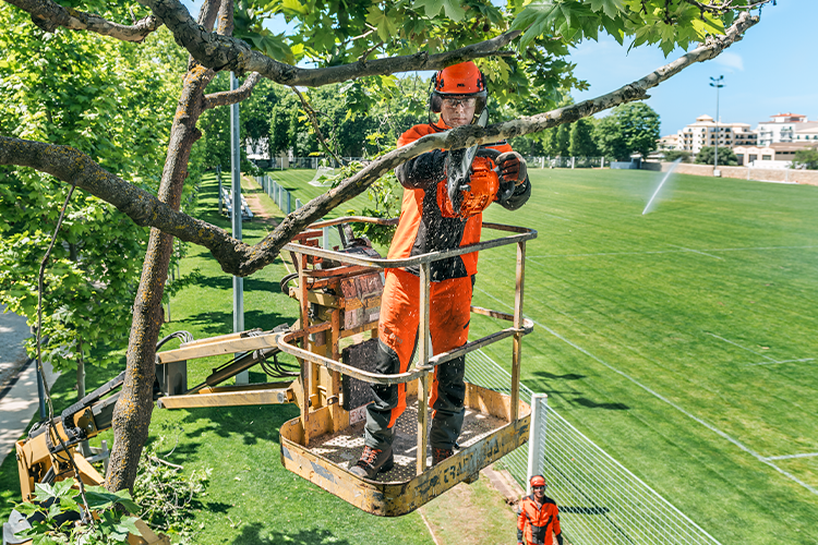 Husqvarna tem aplicativo que permite interação com cortador de grama