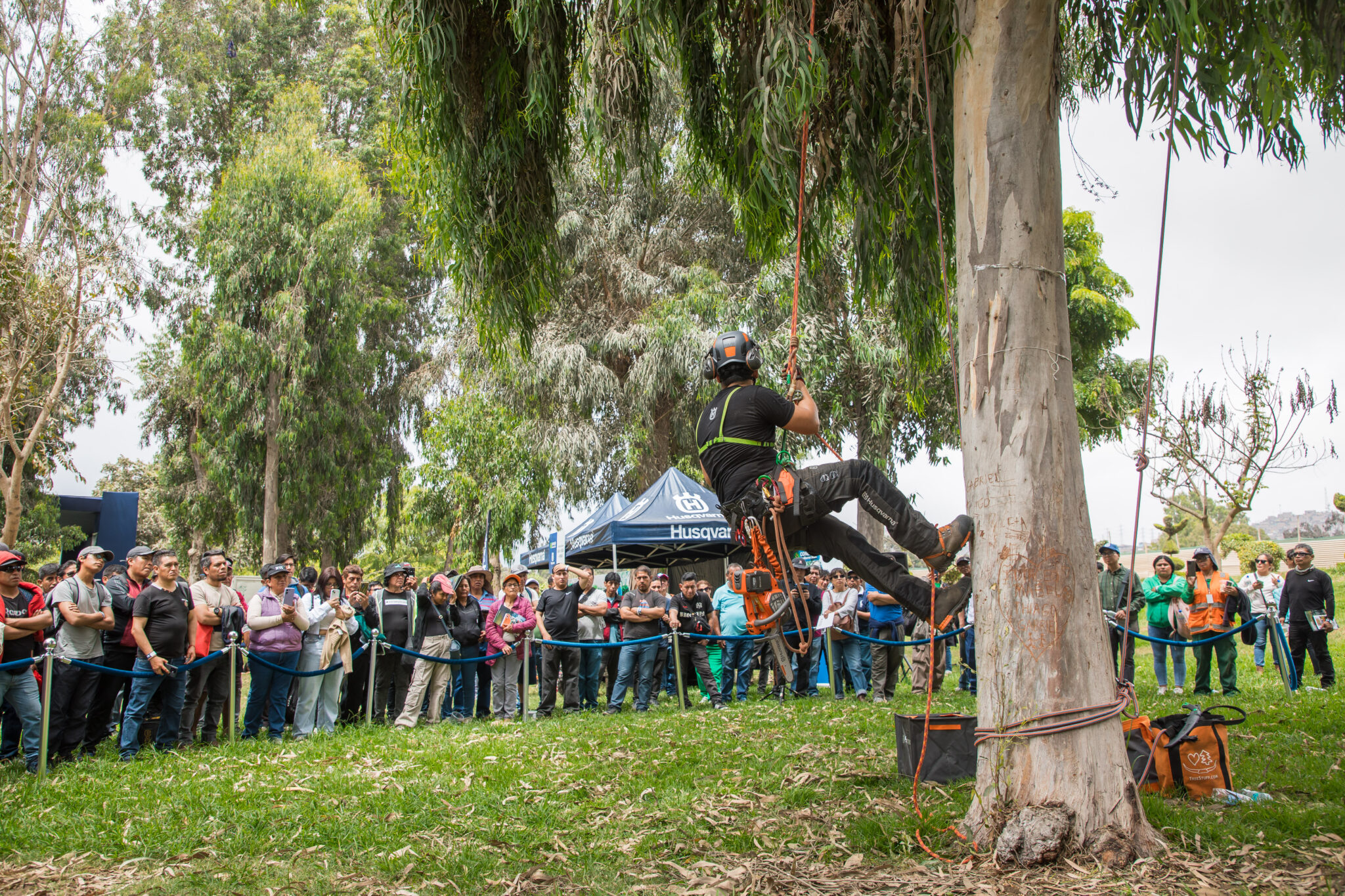 Demostración de poda en áreas verdes Husqvarna