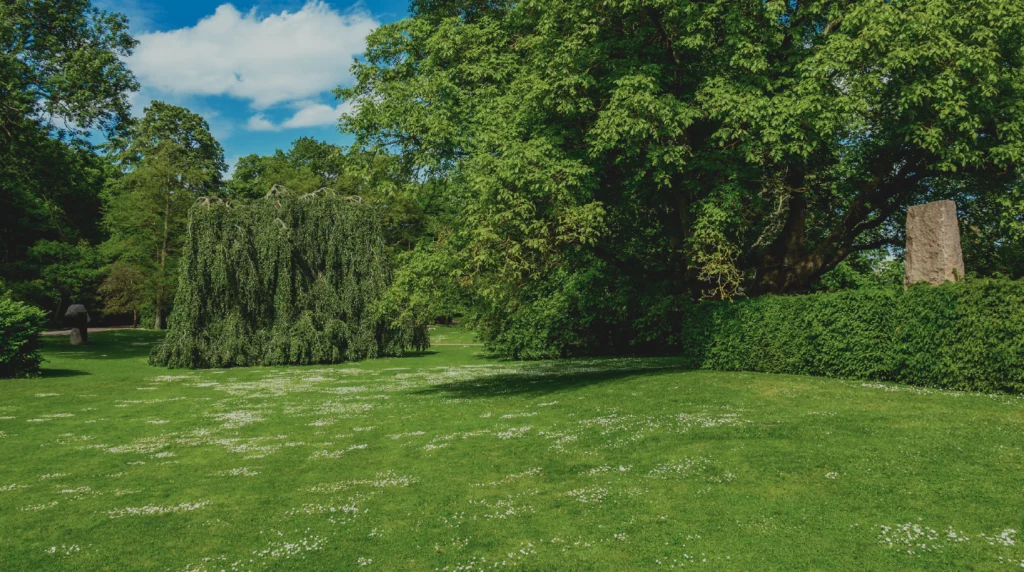 Áreas verdes del evento profesional de jardinería de Husqvarna Perú